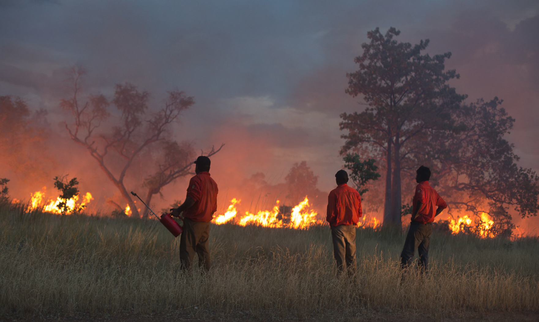 Lead like a keystone species